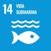 ODS 14